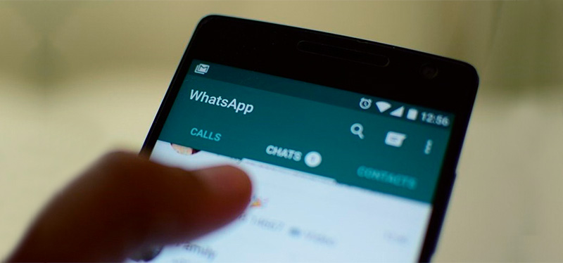 Usuários podem perder mensagens antigas do WhatsApp a partir de segunda-feira (12/11): Saiba evitar